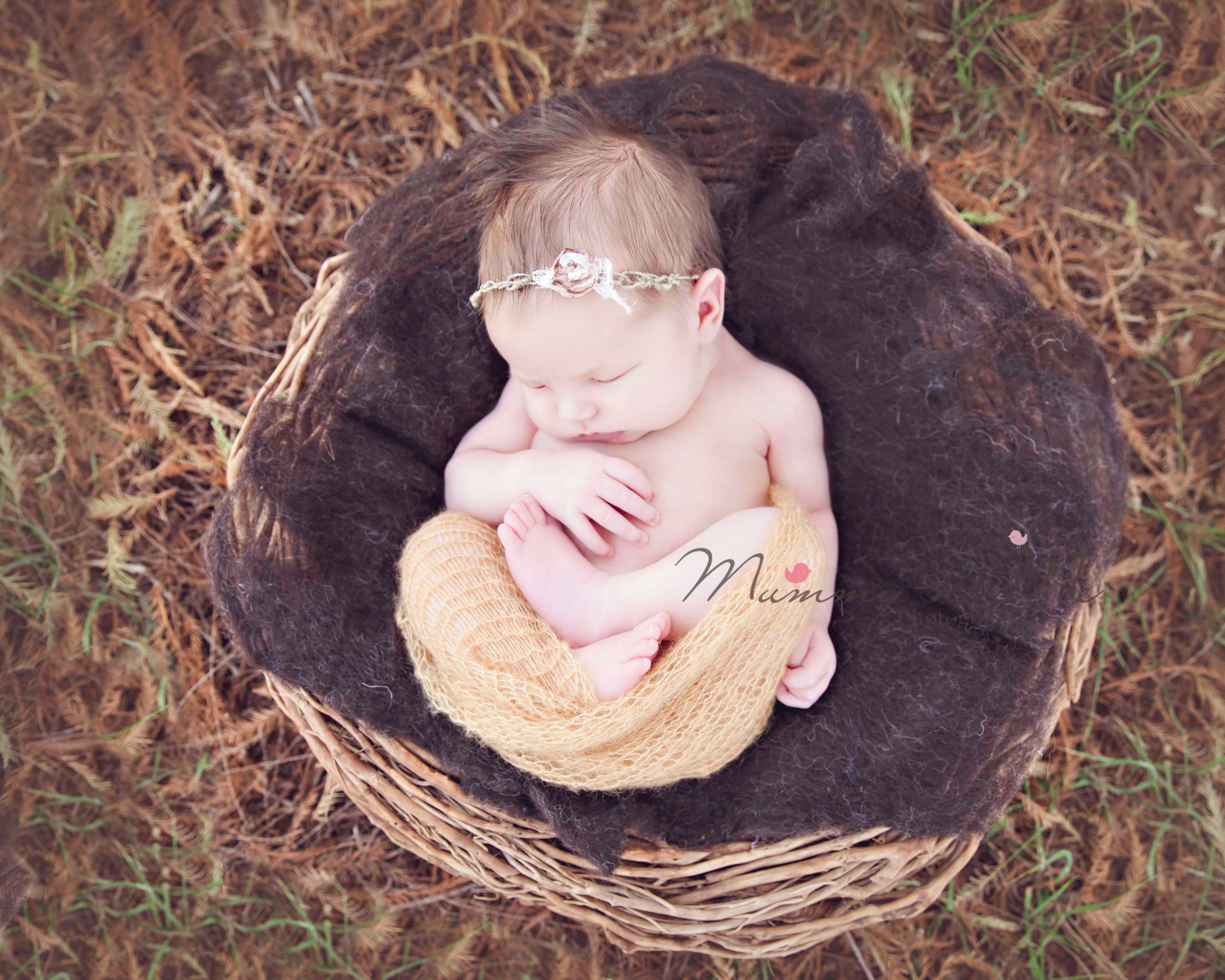 newborn girl in nest at the park with family Brisbane newborn family photographer