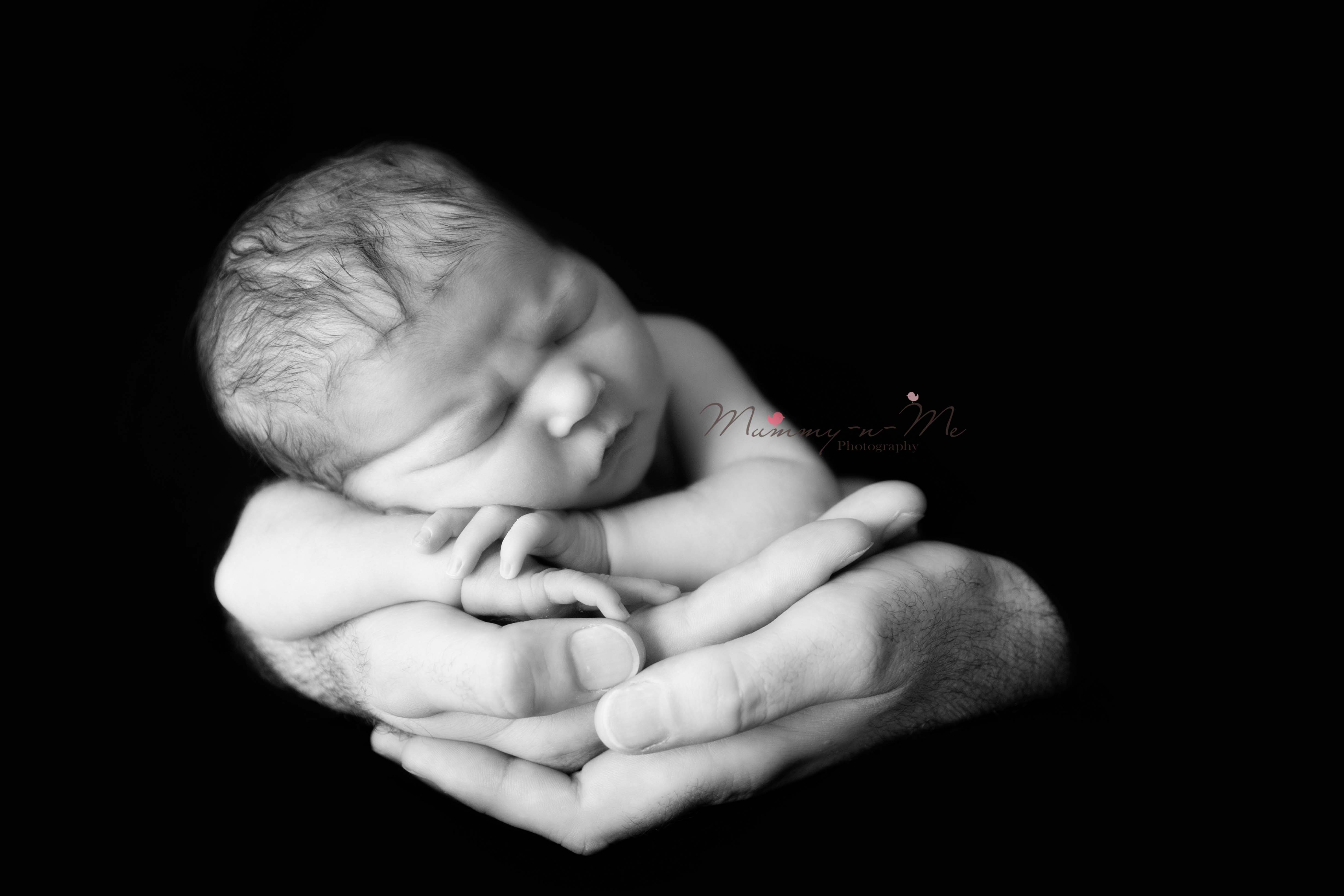 newborn girl in daddys hands Brisbane Newborn Photographer