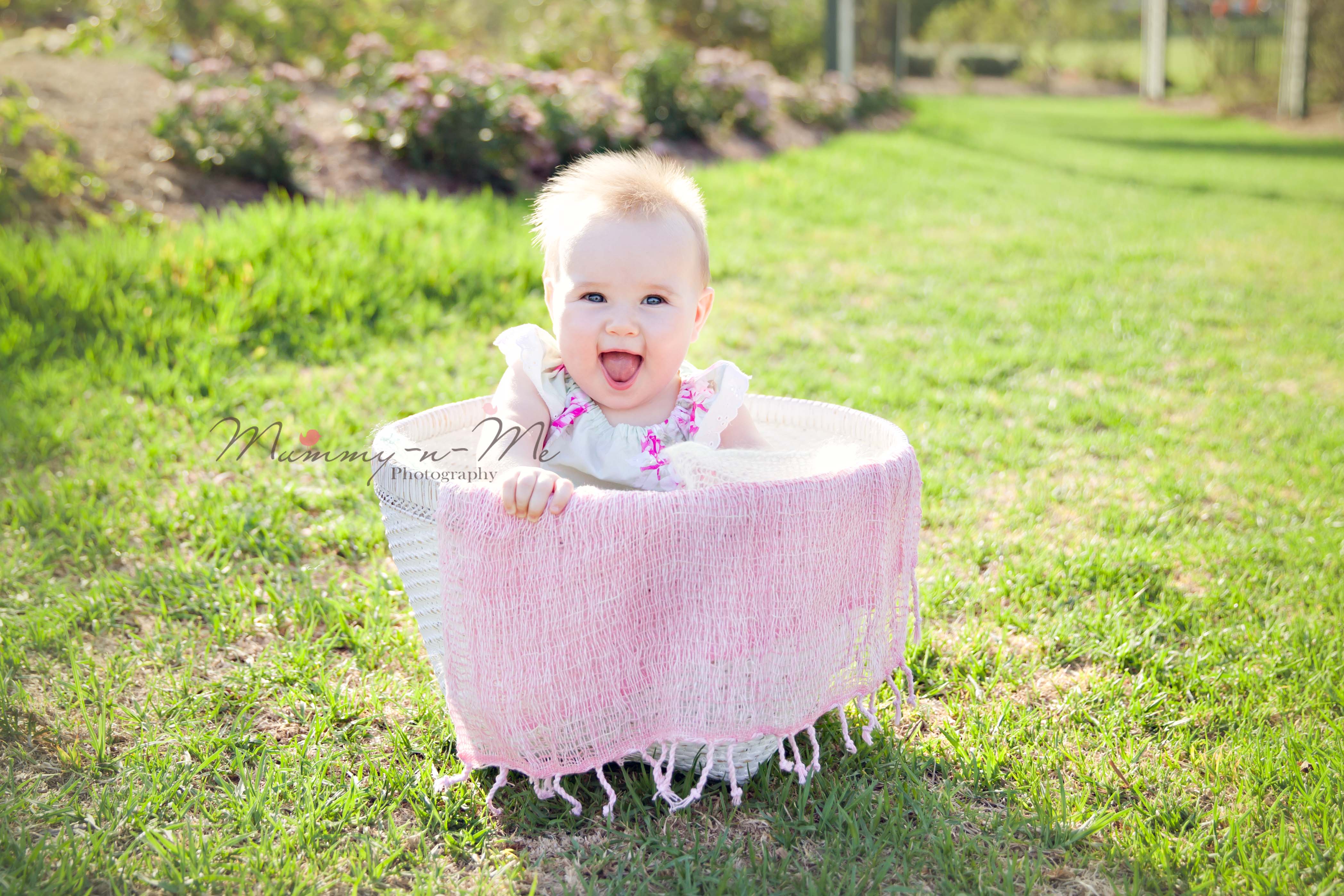 6 month girl in basket at park brisbane baby photographer