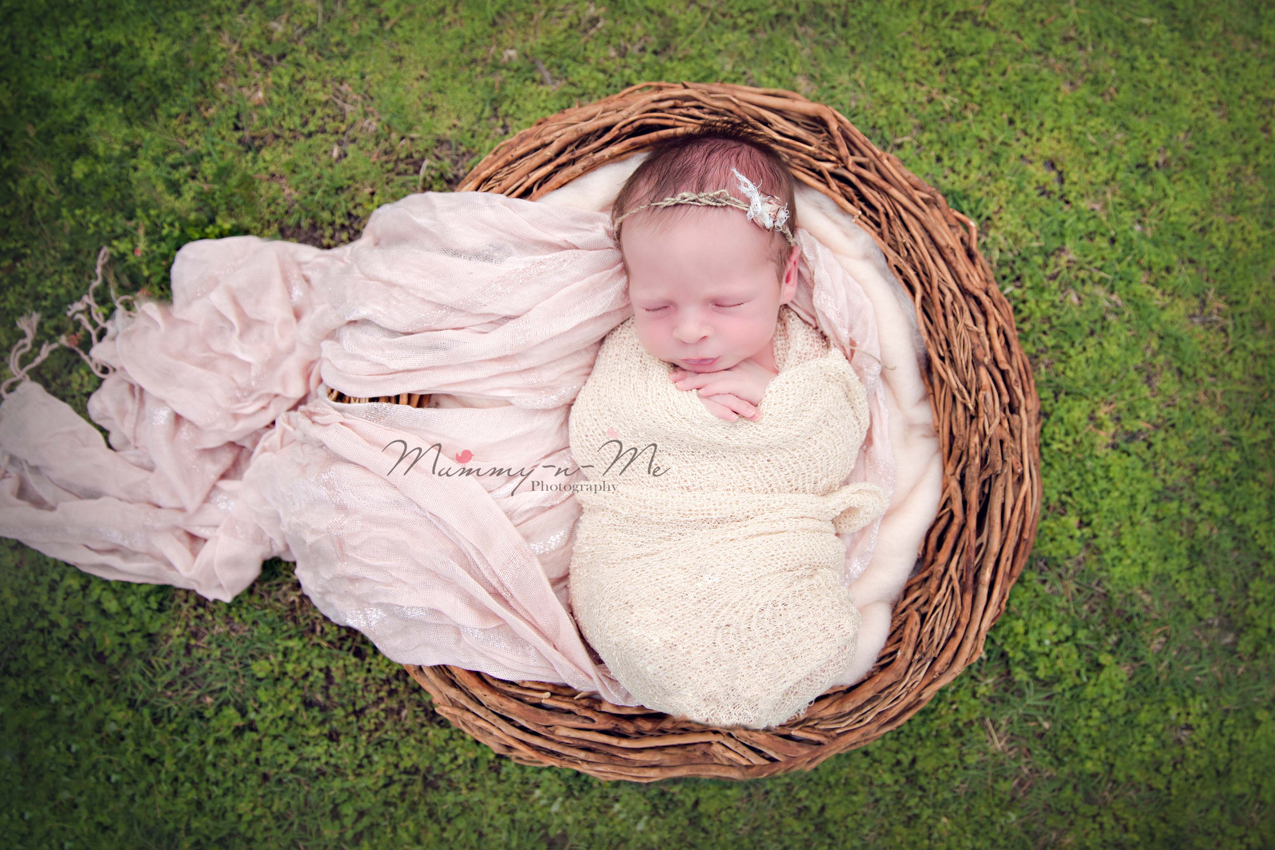 newborn girl outdoors in basket brisbane newborn photographer