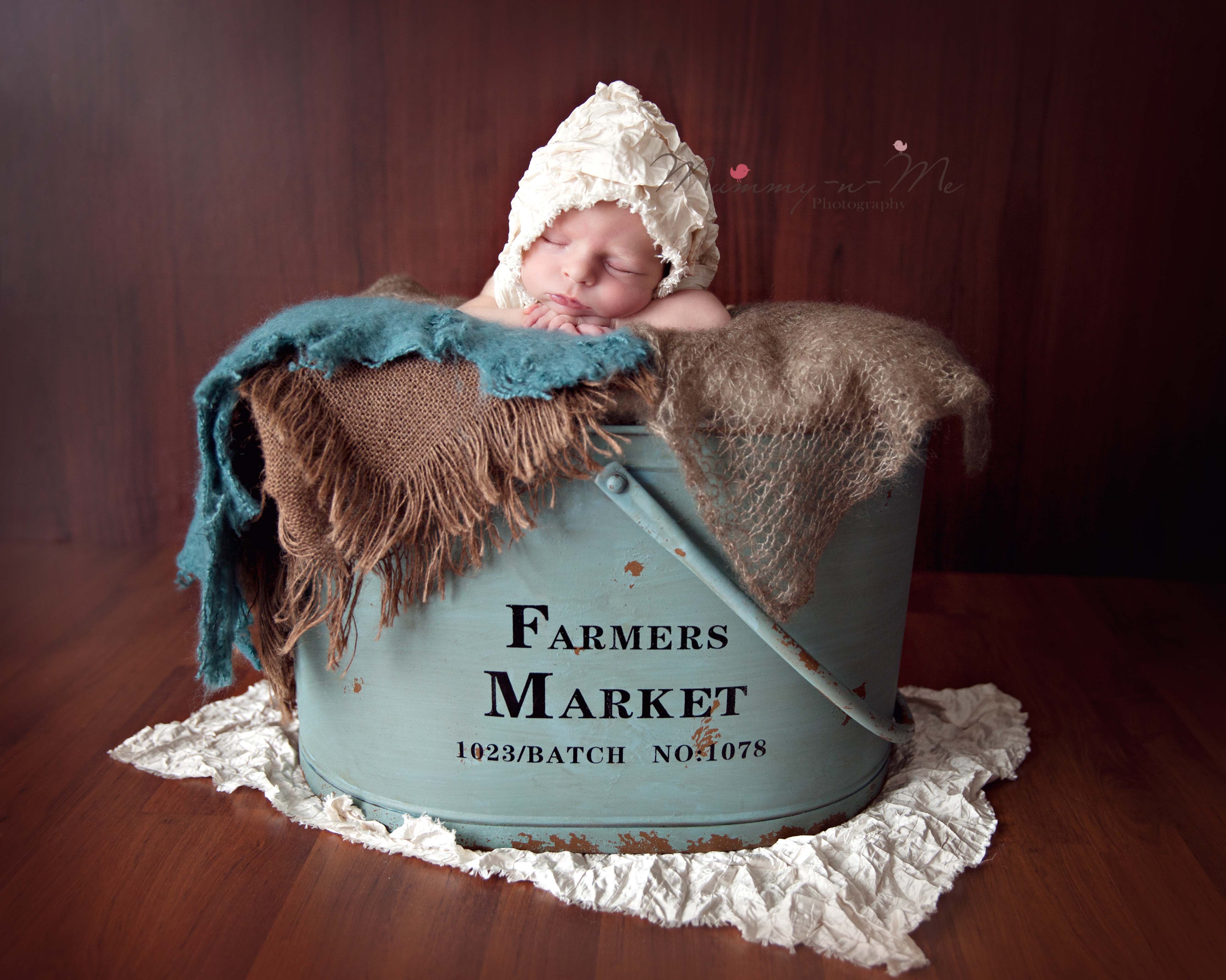 newborn girl in basket newborn photographer brisbane