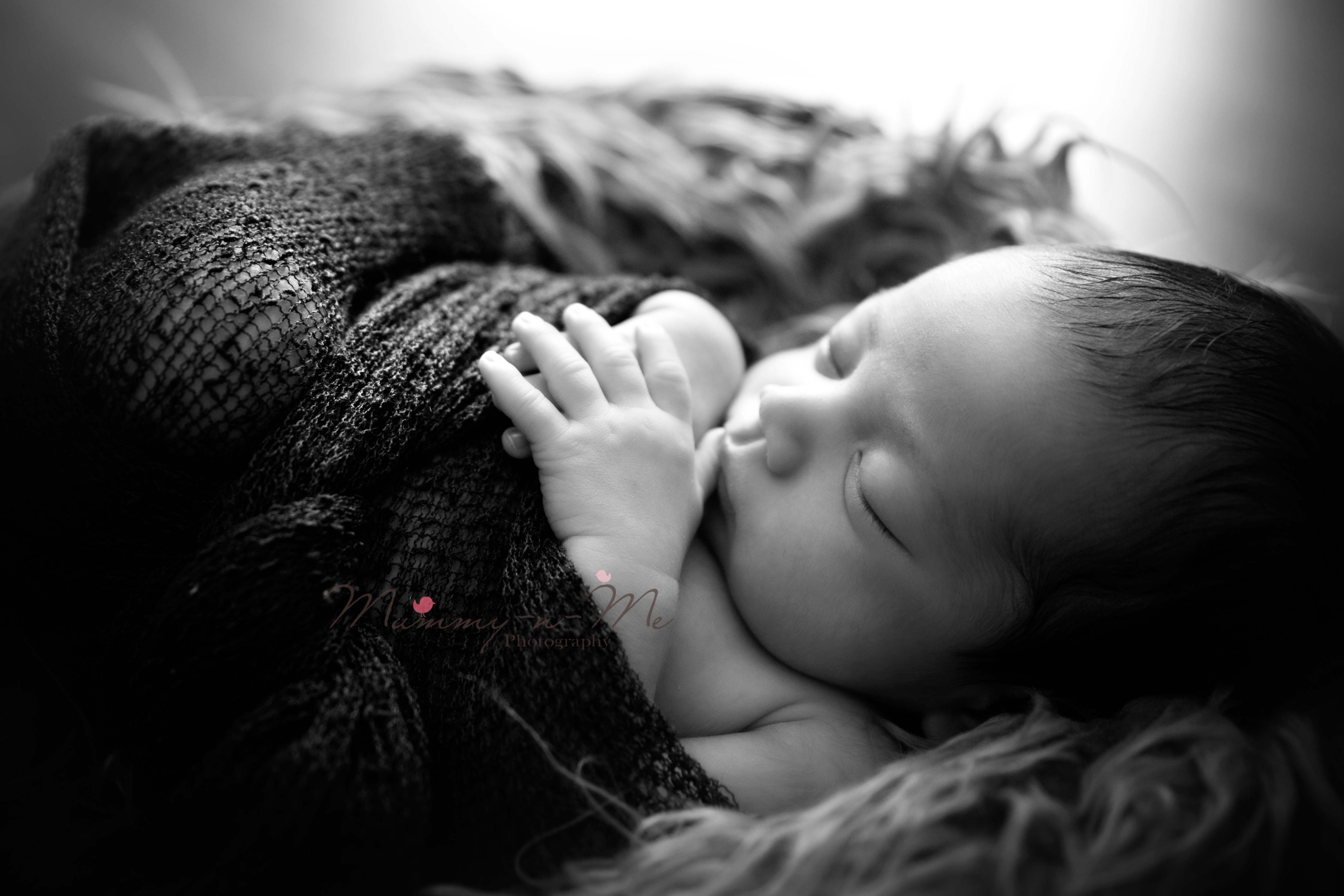 newborn boy in wrap brisbane newborn photographer