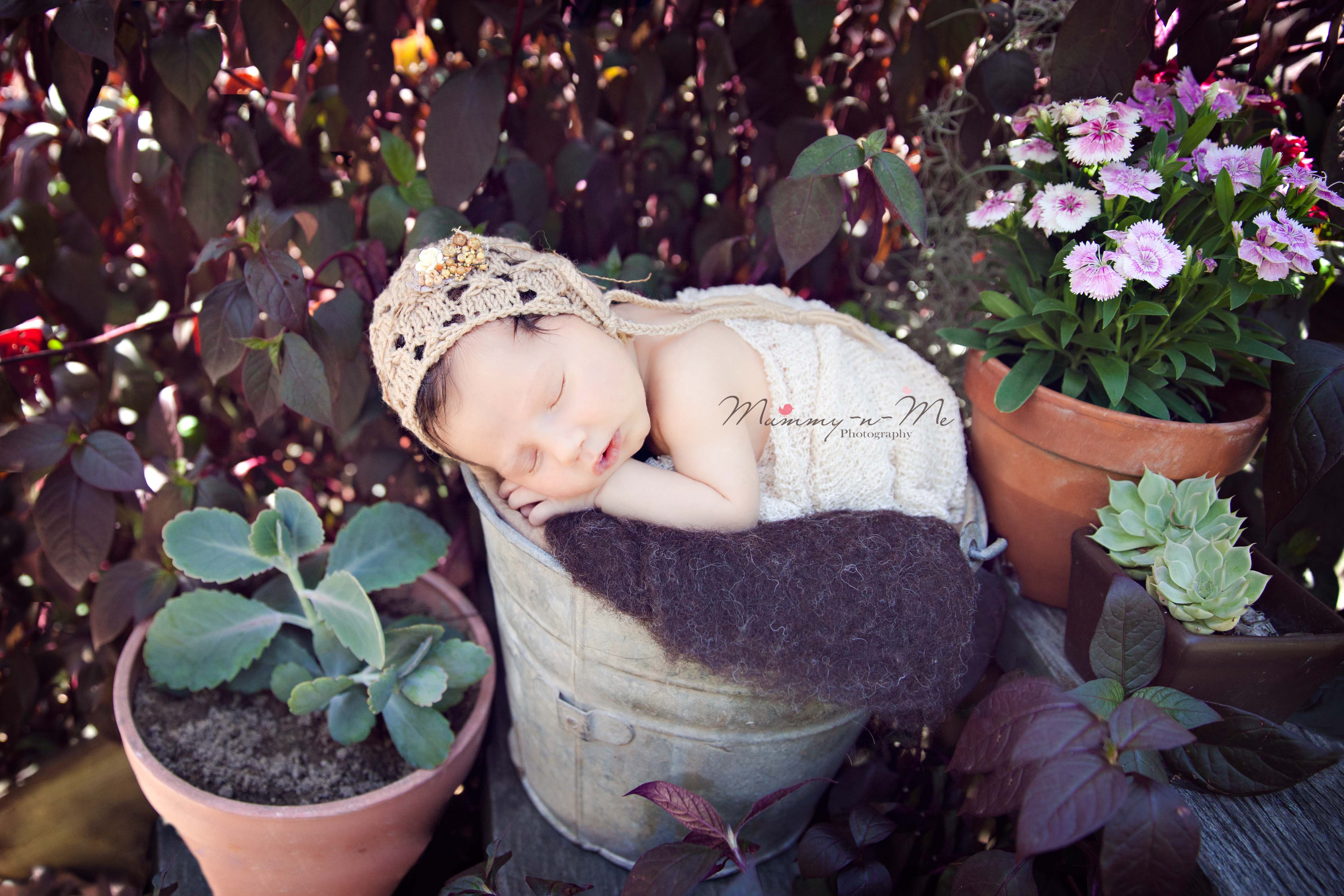 Newborn Girl in Garden Brisbane Newborn Family Baby Child Photographer