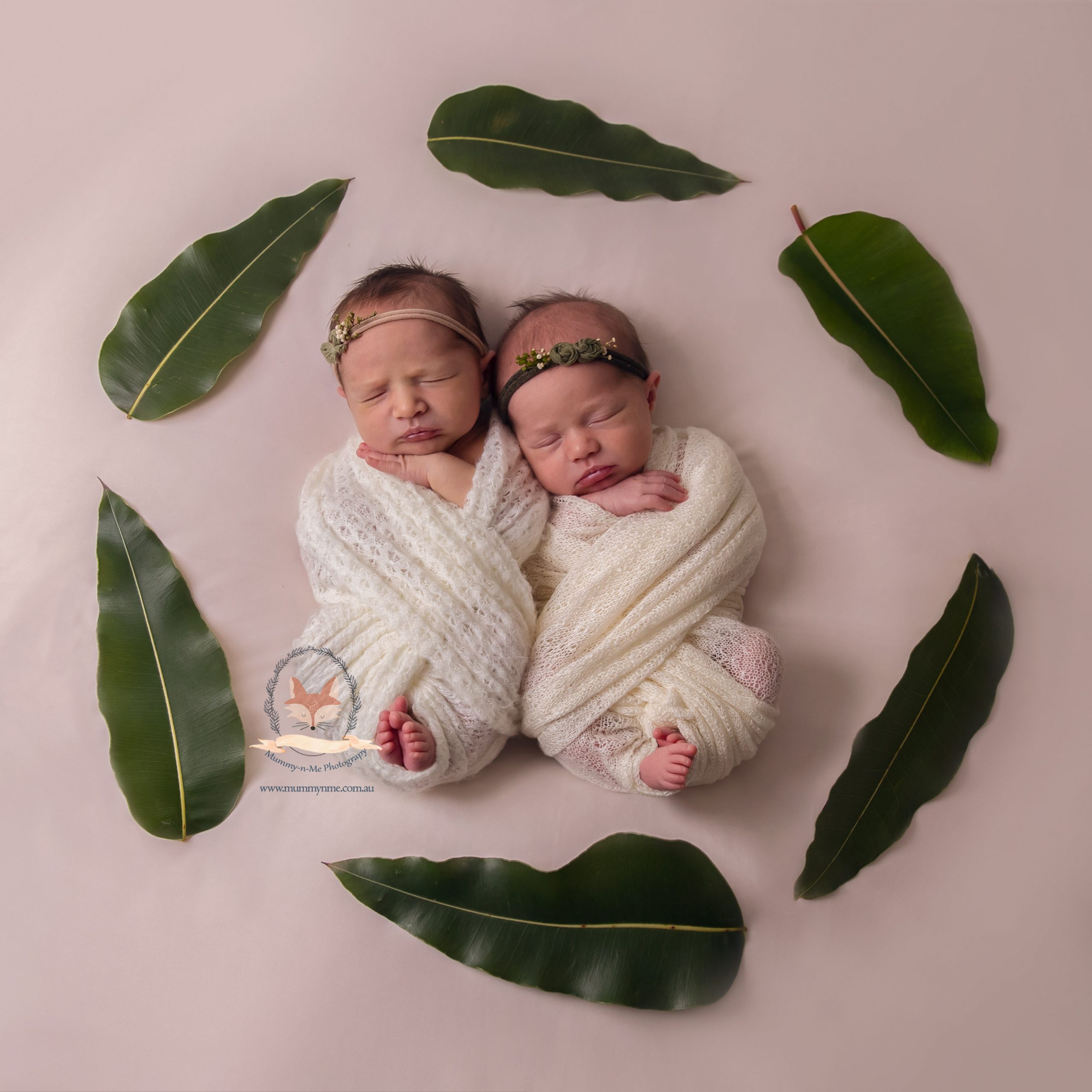 Twins Brisbane Newborn Photographer 